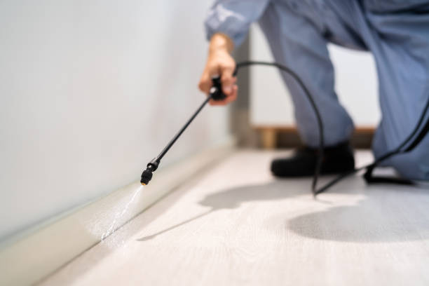 Licensed Mosquito Control service in Gillespie, IL - Show Me Pest Control