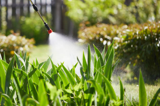 24/7 Emergency Mosquito Control experts in Gillespie, IL