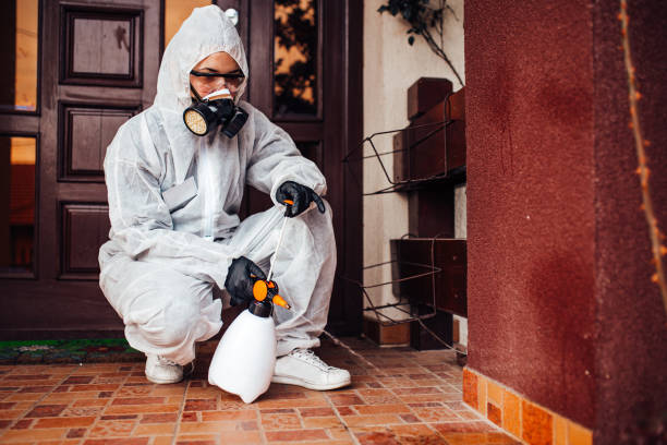 Reliable Mosquito Control contractor in Gillespie, IL by Show Me Pest Control