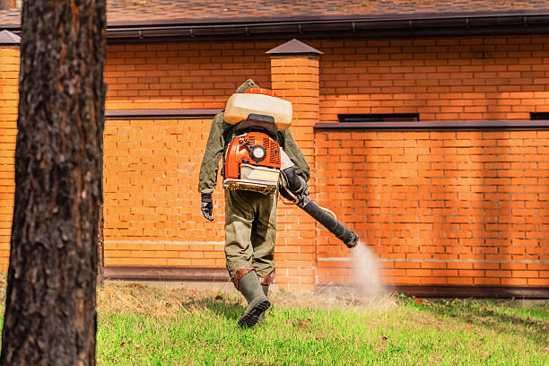 Top rated local Mosquito Control specialists in Gillespie, IL